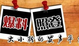 重庆投稿最新爆料,最新动态揭秘