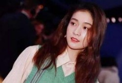 谢娜爆料张雪迎事件视频,真相背后引人深思