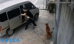 广东面包车爆料视频,揭秘城市生活百态