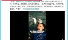 肥西女婿爆料事件视频播放,揭秘事件背后真相