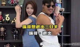 肥西女婿爆料事件视频播放,揭秘事件背后真相