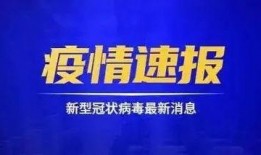 巴中爆料热点新闻事件最新,惊曝某官员涉嫌严重违纪违法！