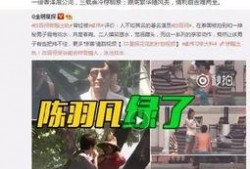 武汉出轨爆料案件最新,真相与舆论风暴的交织