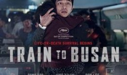 釜山行在线观看高清,惊悚病毒侵袭，生死逃亡之旅