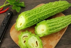 天津吃瓜小网红有哪些,揭秘津门小网红们的趣味生活