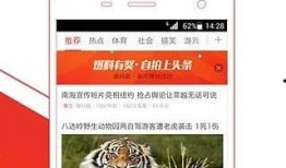 头条猛料爆料视频大全集,视频大全集深度解析