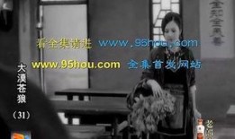 沙漠苍狼在线观看,在线观看，探寻神秘沙漠的传奇故事