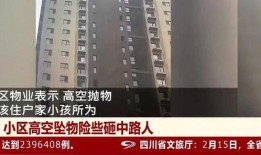 石家庄市区爆料事件视频,视频揭示惊人真相